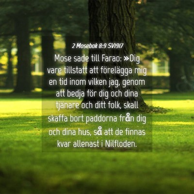 Picture 04 - 2 Mosebok 8:9 SV1917 - Mose sade till Farao: »Dig vare tillstatt att - Bible Verse Picture