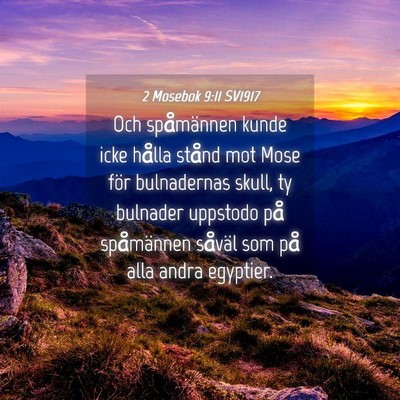 Picture 04 - 2 Mosebok 9:11 SV1917 - Och spåmännen kunde icke hålla stånd mot Mose - Bible Verse Picture