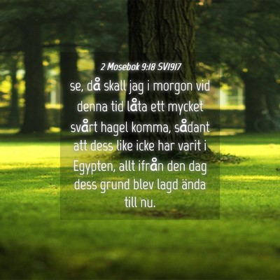 Picture 04 - 2 Mosebok 9:18 SV1917 - se, då skall jag i morgon vid denna tid låta - Bible Verse Picture