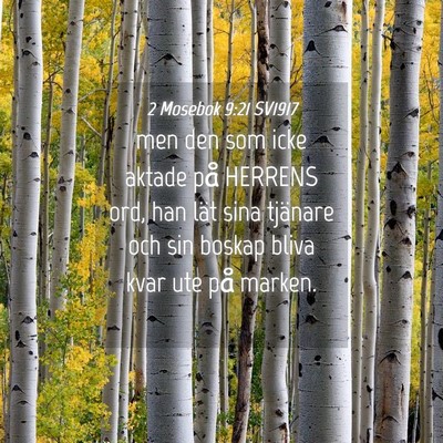 Picture 04 - 2 Mosebok 9:21 SV1917 - men den som icke aktade på HERRENS ord, han lät - Bible Verse Picture