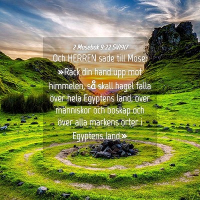 Picture 04 - 2 Mosebok 9:22 SV1917 - Och HERREN sade till Mose: »Räck din hand upp - Bible Verse Picture