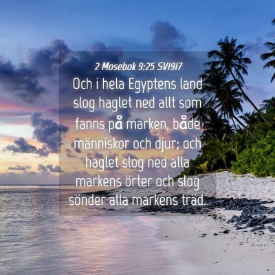 Picture 04 - 2 Mosebok 9:25 SV1917 - Och i hela Egyptens land slog haglet ned allt som - Bible Verse Picture