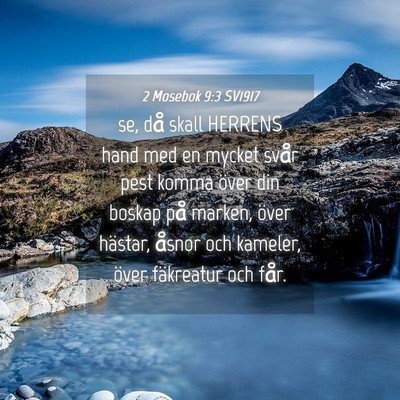 Picture 04 - 2 Mosebok 9:3 SV1917 - se, då skall HERRENS hand med en mycket svår - Bible Verse Picture