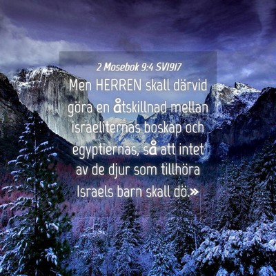 Picture 04 - 2 Mosebok 9:4 SV1917 - Men HERREN skall därvid göra en åtskillnad - Bible Verse Picture