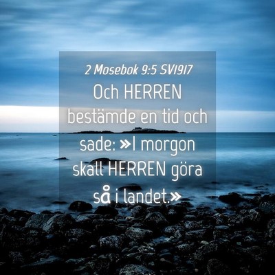Picture 04 - 2 Mosebok 9:5 SV1917 - Och HERREN bestämde en tid och sade: »I morgon - Bible Verse Picture