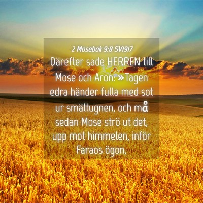 Picture 04 - 2 Mosebok 9:8 SV1917 - Därefter sade HERREN till Mose och Aron: »Tagen - Bible Verse Picture
