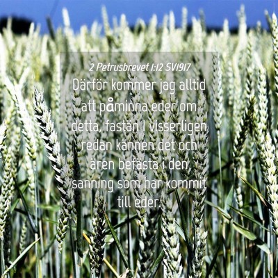 Picture 04 - 2 Petrusbrevet 1:12 SV1917 - Därför kommer jag alltid att påminna eder om - Bible Verse Picture