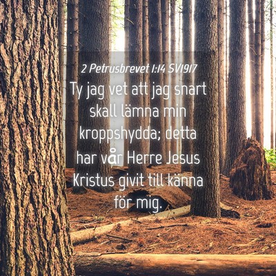 Picture 04 - 2 Petrusbrevet 1:14 SV1917 - Ty jag vet att jag snart skall lämna min - Bible Verse Picture