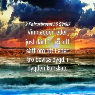 Picture 04 - 2 Petrusbrevet 1:5 SV1917 - Vinnläggen eder just därför på allt sätt om - Bible Verse Picture
