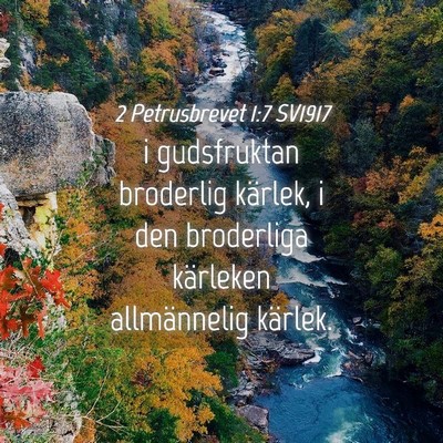Picture 04 - 2 Petrusbrevet 1:7 SV1917 - i gudsfruktan broderlig kärlek, i den broderliga - Bible Verse Picture