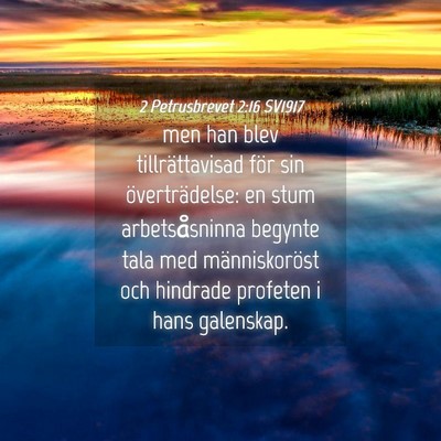 Picture 04 - 2 Petrusbrevet 2:16 SV1917 - men han blev tillrättavisad för sin - Bible Verse Picture