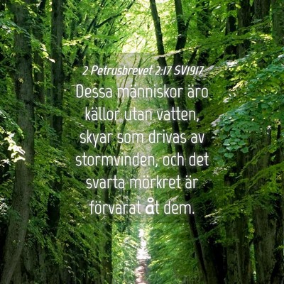 Picture 04 - 2 Petrusbrevet 2:17 SV1917 - Dessa människor äro källor utan vatten, skyar - Bible Verse Picture