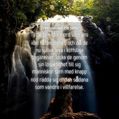 Picture 04 - 2 Petrusbrevet 2:18 SV1917 - Ty de tala stora ord som äro idel - Bible Verse Picture