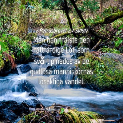 Picture 04 - 2 Petrusbrevet 2:7 SV1917 - Men han frälste den rättfärdige Lot, som - Bible Verse Picture