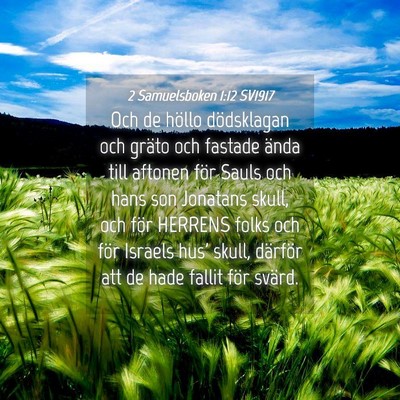 Picture 04 - 2 Samuelsboken 1:12 SV1917 - Och de höllo dödsklagan och gräto och fastade - Bible Verse Picture
