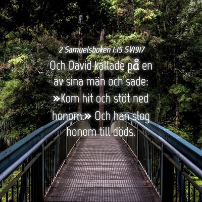 Picture 04 - 2 Samuelsboken 1:15 SV1917 - Och David kallade på en av sina män och sade: - Bible Verse Picture