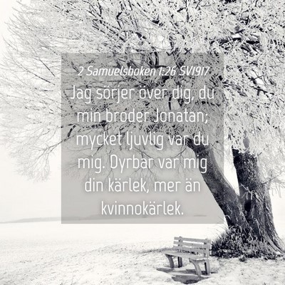 Picture 04 - 2 Samuelsboken 1:26 SV1917 - Jag sörjer över dig, du min broder Jonatan; - Bible Verse Picture