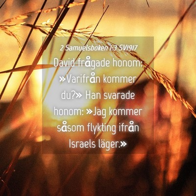 Picture 04 - 2 Samuelsboken 1:3 SV1917 - David frågade honom: »Varifrån kommer du?» - Bible Verse Picture