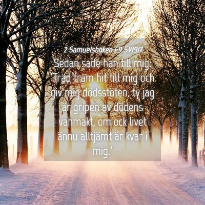 Picture 04 - 2 Samuelsboken 1:9 SV1917 - Sedan sade han till mig: 'Träd fram hit till mig - Bible Verse Picture