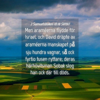 Picture 04 - 2 Samuelsboken 10:18 SV1917 - Men araméerna flydde för Israel, och David - Bible Verse Picture