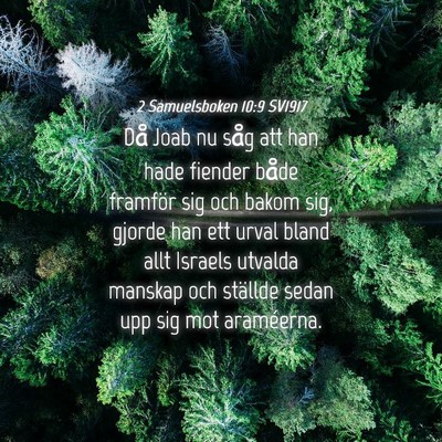 Picture 04 - 2 Samuelsboken 10:9 SV1917 - Då Joab nu såg att han hade fiender både - Bible Verse Picture