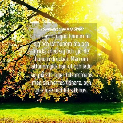 Picture 04 - 2 Samuelsboken 11:13 SV1917 - Och David inbjöd honom till sig och lät honom - Bible Verse Picture