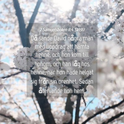 Picture 04 - 2 Samuelsboken 11:4 SV1917 - Då sände David några män med uppdrag att - Bible Verse Picture