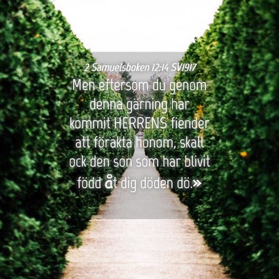 Picture 04 - 2 Samuelsboken 12:14 SV1917 - Men eftersom du genom denna gärning har kommit - Bible Verse Picture