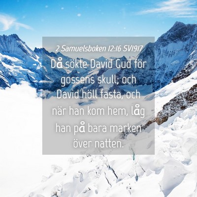 Picture 04 - 2 Samuelsboken 12:16 SV1917 - Då sökte David Gud för gossens skull; och - Bible Verse Picture