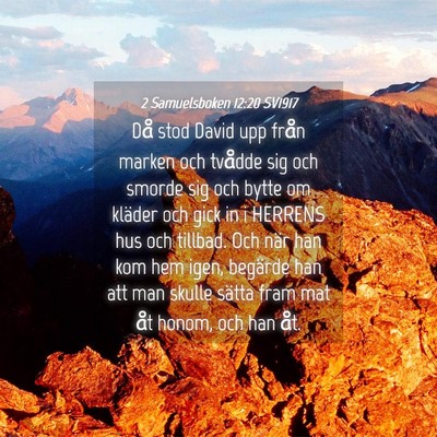 Picture 04 - 2 Samuelsboken 12:20 SV1917 - Då stod David upp från marken och tvådde sig - Bible Verse Picture
