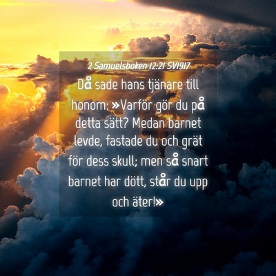 Picture 04 - 2 Samuelsboken 12:21 SV1917 - Då sade hans tjänare till honom: »Varför gör - Bible Verse Picture