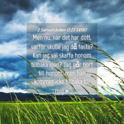 Picture 04 - 2 Samuelsboken 12:23 SV1917 - Men nu, när det har dött, varför skulle jag - Bible Verse Picture
