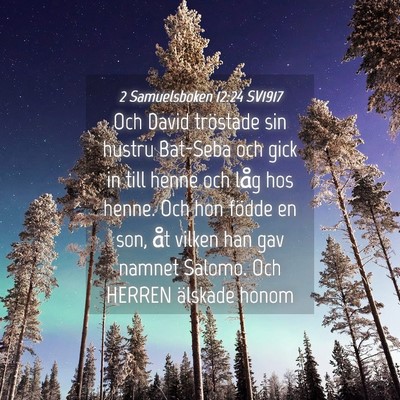 Picture 04 - 2 Samuelsboken 12:24 SV1917 - Och David tröstade sin hustru Bat-Seba och gick - Bible Verse Picture