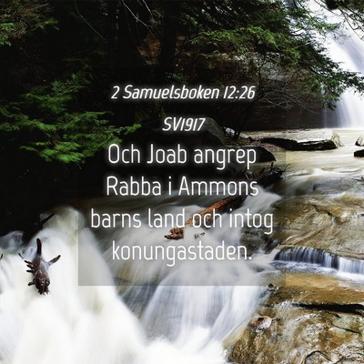 Picture 04 - 2 Samuelsboken 12:26 SV1917 - Och Joab angrep Rabba i Ammons barns land och - Bible Verse Picture