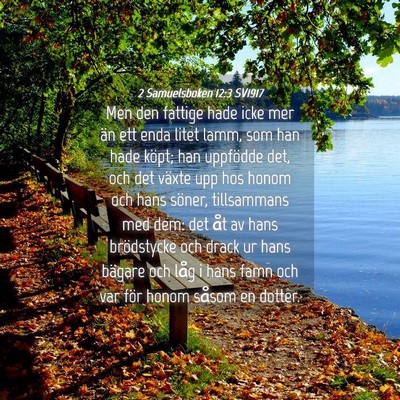 Picture 04 - 2 Samuelsboken 12:3 SV1917 - Men den fattige hade icke mer än ett enda litet - Bible Verse Picture