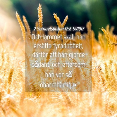 Picture 04 - 2 Samuelsboken 12:6 SV1917 - Och lammet skall han ersätta fyradubbelt, - Bible Verse Picture