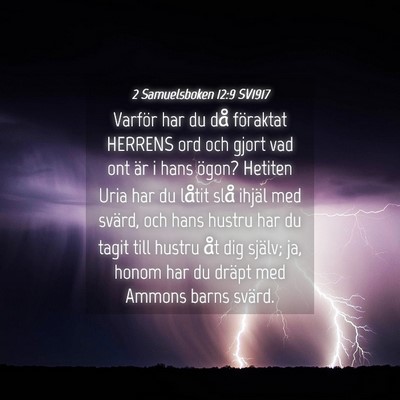 Picture 04 - 2 Samuelsboken 12:9 SV1917 - Varför har du då föraktat HERRENS ord och - Bible Verse Picture