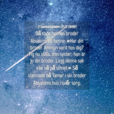 Picture 04 - 2 Samuelsboken 13:20 SV1917 - Då sade hennes broder Absalom till henne: »Har - Bible Verse Picture