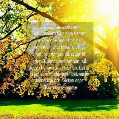 Picture 04 - 2 Samuelsboken 13:28 SV1917 - Och Absalom bjöd sina tjänare och sade: »Sen - Bible Verse Picture