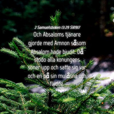 Picture 04 - 2 Samuelsboken 13:29 SV1917 - Och Absaloms tjänare gjorde med Amnon såsom - Bible Verse Picture