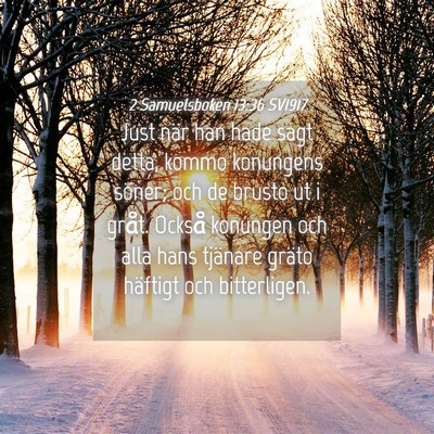 Picture 04 - 2 Samuelsboken 13:36 SV1917 - Just när han hade sagt detta, kommo konungens - Bible Verse Picture