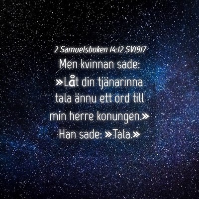 Picture 04 - 2 Samuelsboken 14:12 SV1917 - Men kvinnan sade: »Låt din tjänarinna tala - Bible Verse Picture