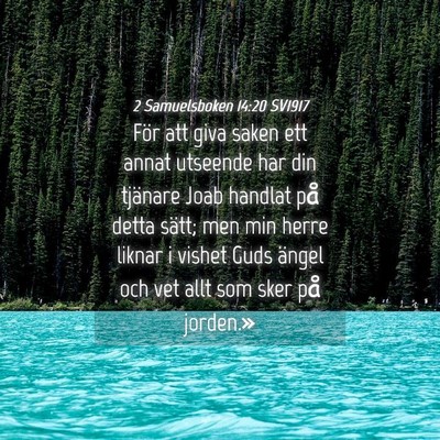 Picture 04 - 2 Samuelsboken 14:20 SV1917 - För att giva saken ett annat utseende har din - Bible Verse Picture