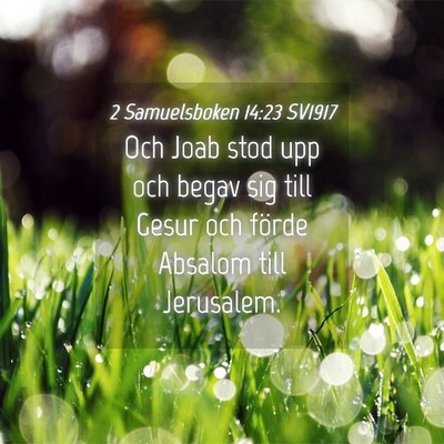 Picture 04 - 2 Samuelsboken 14:23 SV1917 - Och Joab stod upp och begav sig till Gesur och - Bible Verse Picture