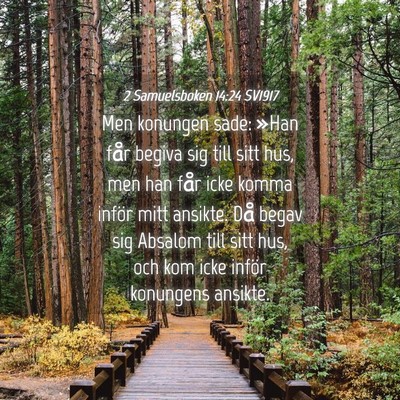 Picture 04 - 2 Samuelsboken 14:24 SV1917 - Men konungen sade: »Han får begiva sig till - Bible Verse Picture