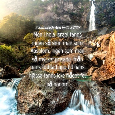 Picture 04 - 2 Samuelsboken 14:25 SV1917 - Men i hela Israel fanns ingen så skön man som - Bible Verse Picture