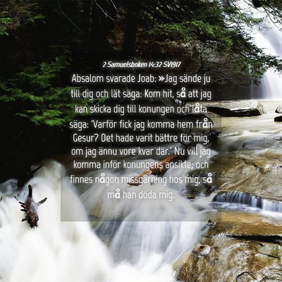 Picture 04 - 2 Samuelsboken 14:32 SV1917 - Absalom svarade Joab: »Jag sände ju till dig - Bible Verse Picture
