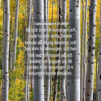 Picture 04 - 2 Samuelsboken 14:33 SV1917 - Då gick Joab till konungen och sade honom detta. - Bible Verse Picture
