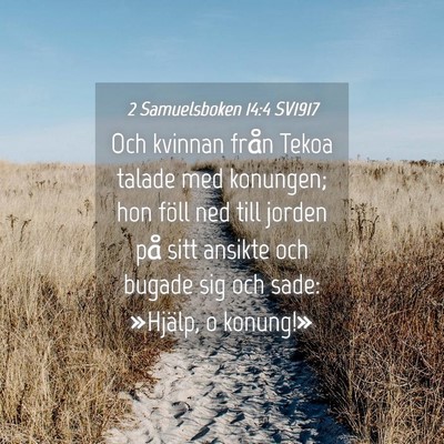 Picture 04 - 2 Samuelsboken 14:4 SV1917 - Och kvinnan från Tekoa talade med konungen; hon - Bible Verse Picture