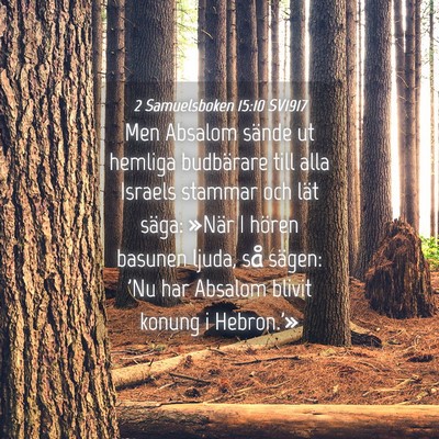 Picture 04 - 2 Samuelsboken 15:10 SV1917 - Men Absalom sände ut hemliga budbärare till - Bible Verse Picture